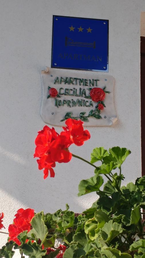 Apartment Cecilia Koprivnica Exterior photo
